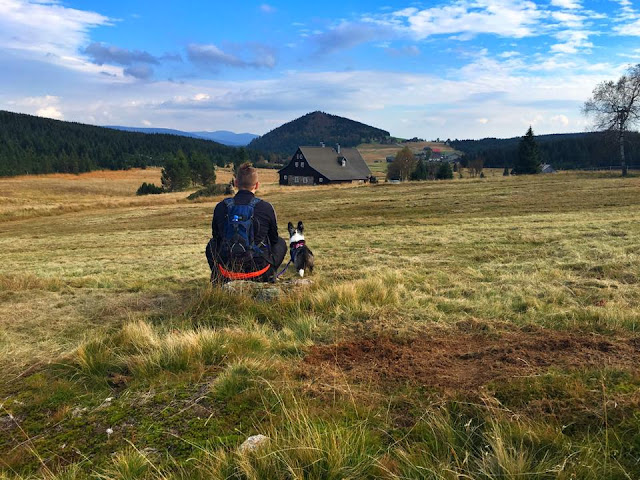 podróże z psem wakacje z psem, w góry z psem, podróże z psem, Jizerka, Izerka
