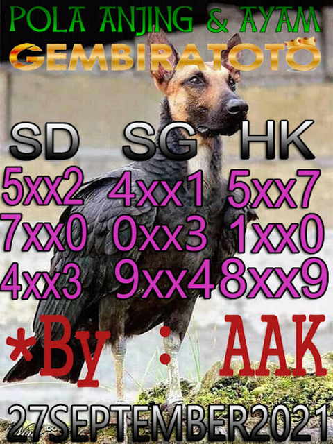 PREDIKSI SYDNEY COJEEL