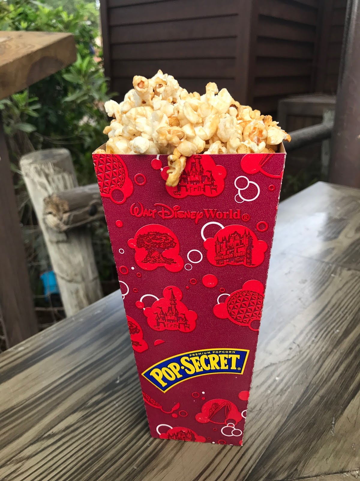 Alexis's Gluten Free Adventures Maple Popcorn Disney's Magic Kingdom