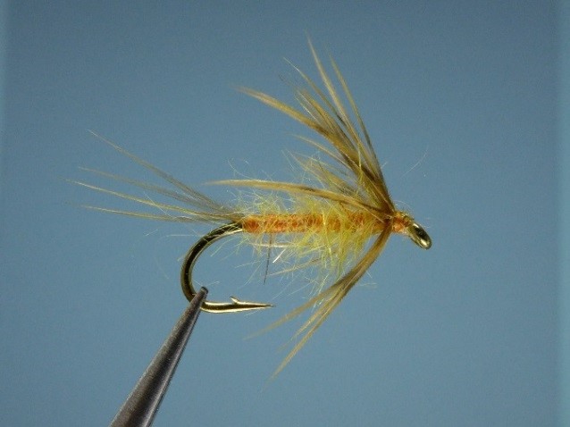 Allen McGee's Riverfly Angler