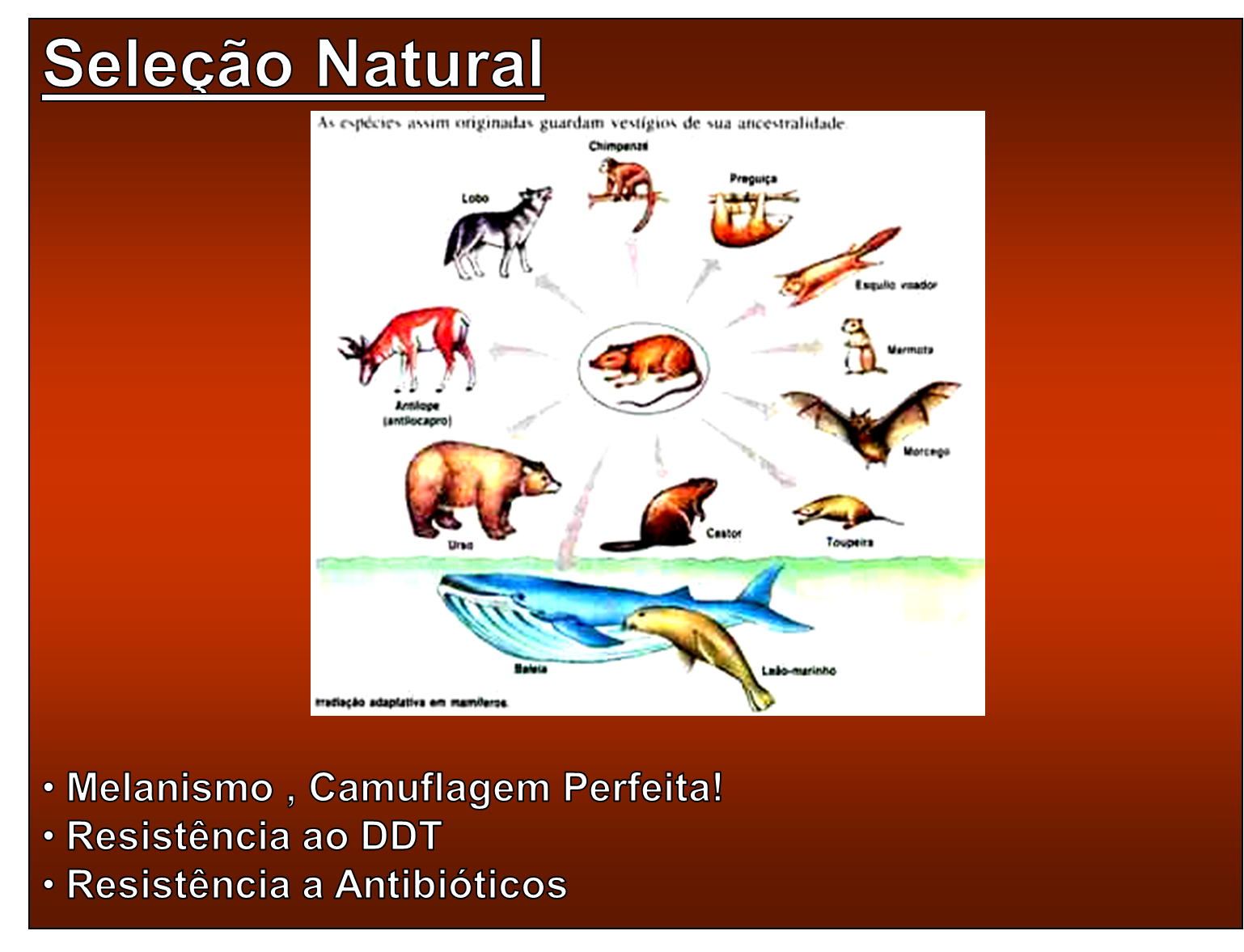 Viver à Biologia Lamarck vs Darwin Viver à Biologia Lamarck vs Darwin