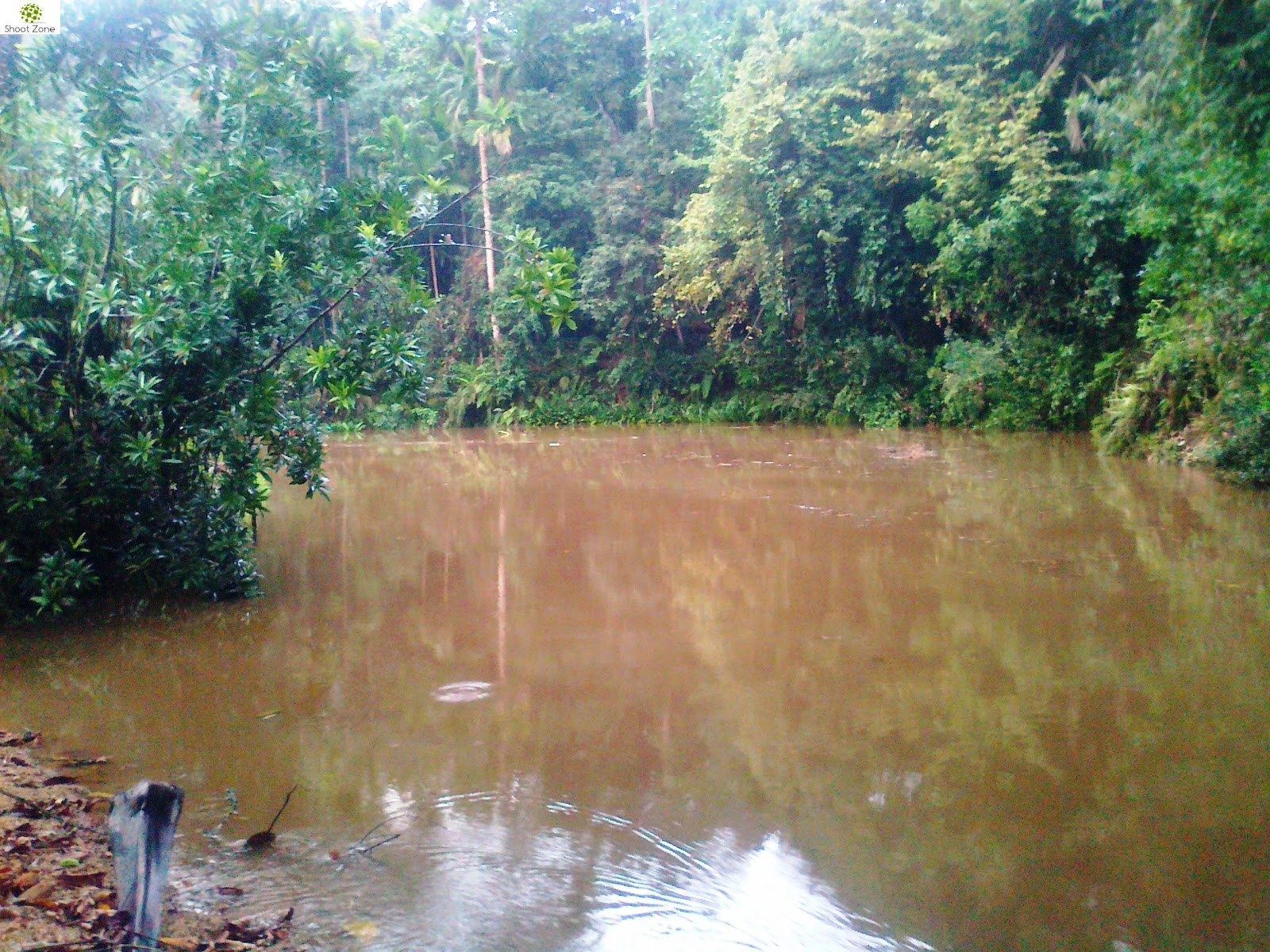 Gin Ganga Nature Photography