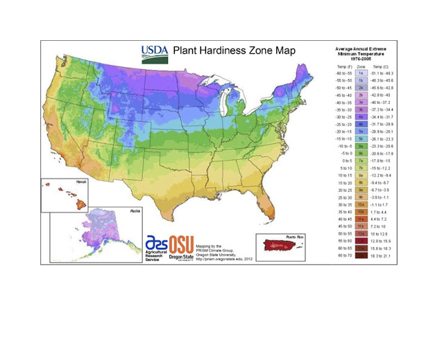 USDA Plant Hardiness Zone Map | My Garden and Home