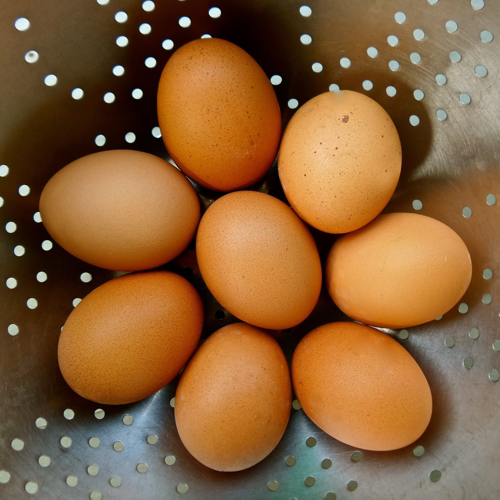 Keep Calm & Curry On Garam Masala Deviled Eggs