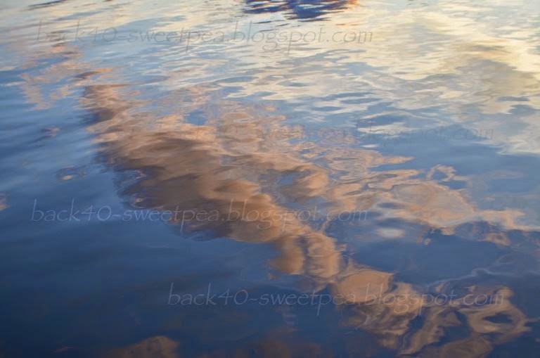 Water Clouds Photo by Trisha Field