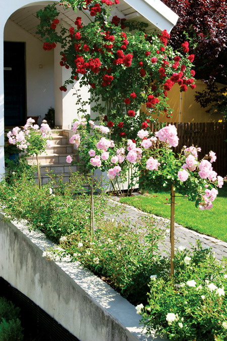 Deposito Santa Mariah Jardim De Rosas Faca Um