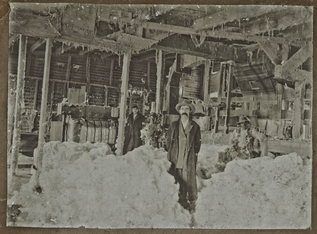 Banditphotographer Blog Old Cotton