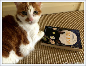 Amber's Book Reviews To Be A Cat by Matt Haig @BionicBasil® Feline Fiction on Fridays