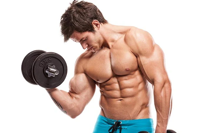 Top 5 Blasting Arm Workouts - Guide to Beginners! Top 5 Blasting Arm Workouts - Guide to Beginners!