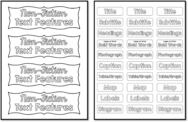 DIY Text Feature Posters - Create Teach Share