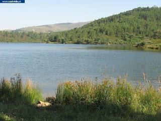 Barragem da Apartadura, Zonas de Pesca de Castelo de Vide / Portalegre (Alto Alentejo), Portugal (Fish / Pesca)