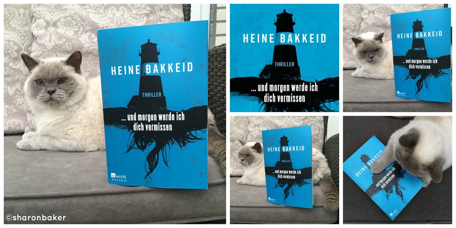 Buchsichten Marz 2016
