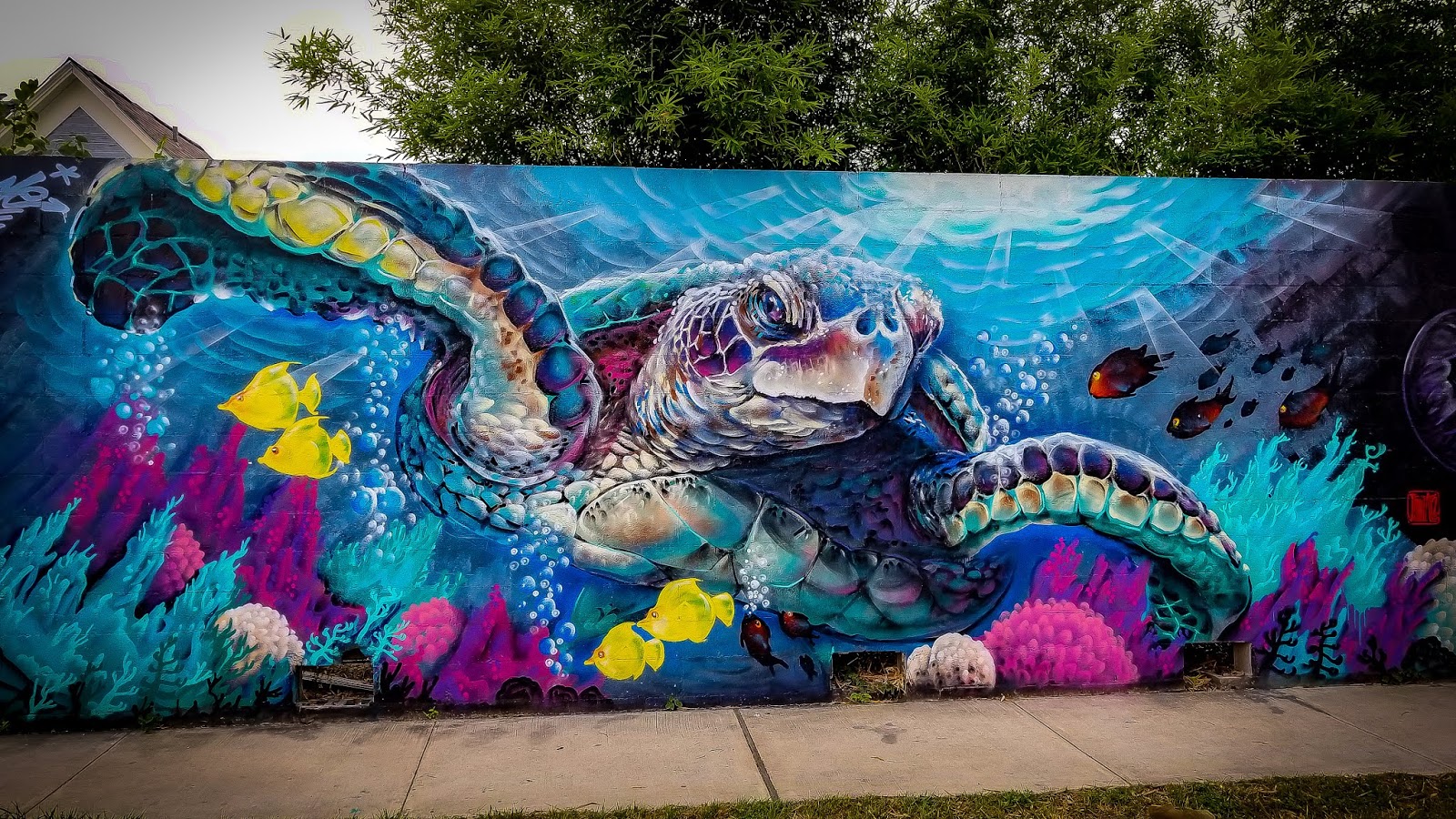 Construction Graffiti Everyone S A Comedian