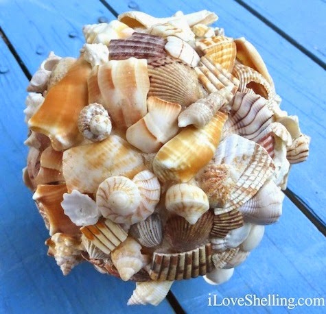 shell globe
