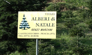 The sign for Marchini Christmas Trees from Castelvecchio in Tuscany