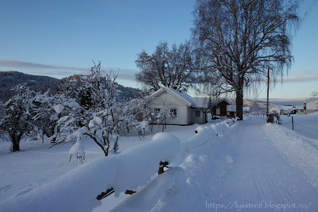 Bilde