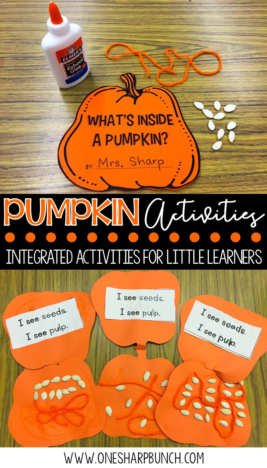 Pumpkin Life Cycle Activities - One Sharp Bunch