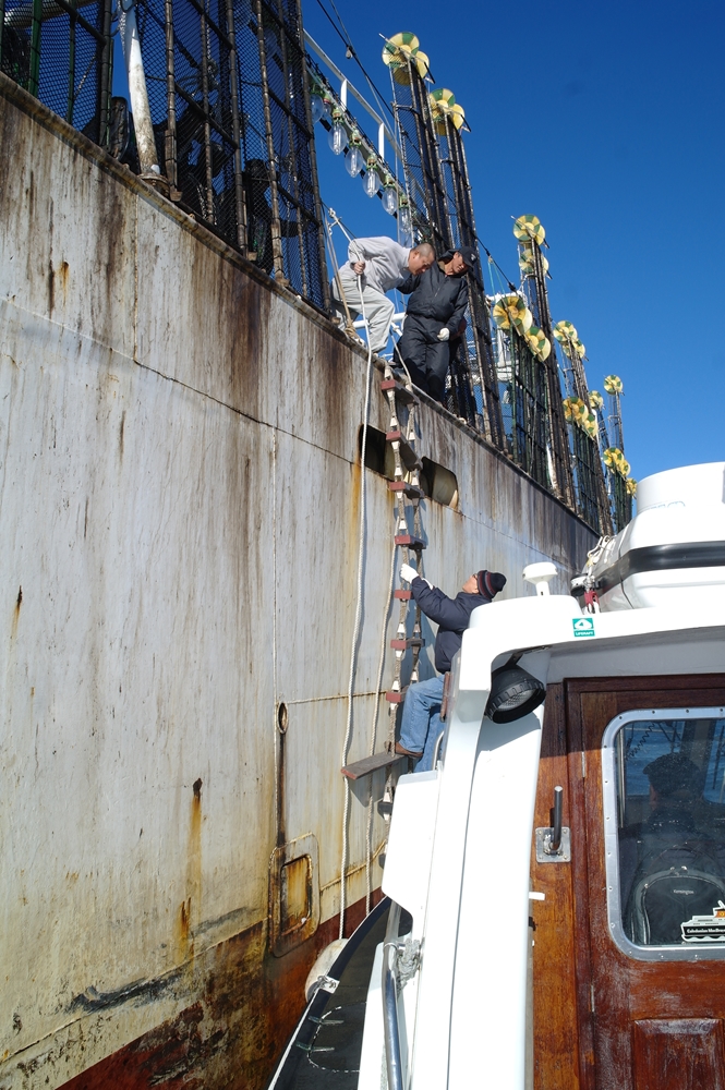 Penguin's Postcards Thoughts from the deep south Jigger Season