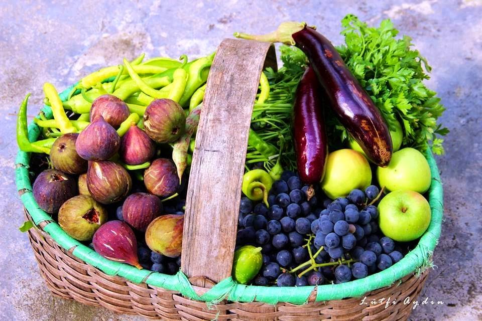 Баклажан это ягода или фрукт. Овощи и ягоды. Синие фрукты и овощи и ягоды. Армянские фрукты и ягоды. Коричневые фрукты и овощи и ягоды.