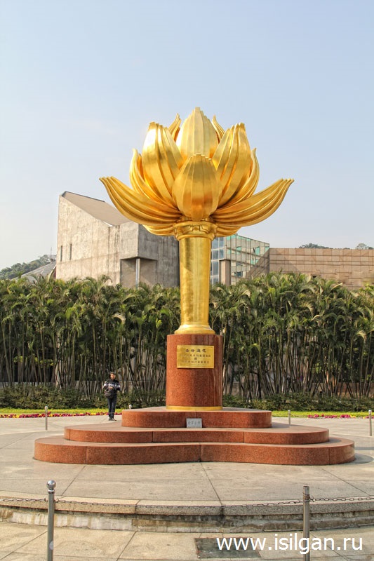 Золотой цветок лотоса в полном цвете. Город Макао. Китай