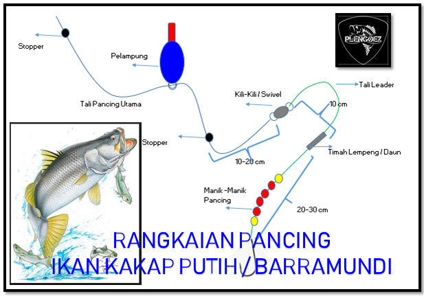 Rangkaian Kail Untuk Mancing Ikan Belanak