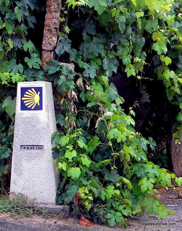 Dicas do Caminho de Santiago - como organizar a caminhada