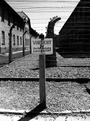 יום השואה הבינלאומי- 27 בינואר