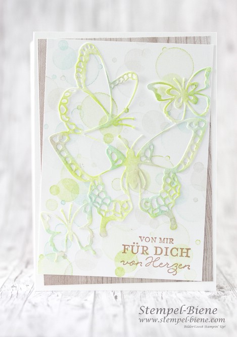 Stempel Biene Schmetterlingsgruss Mit Stampin Up Schone