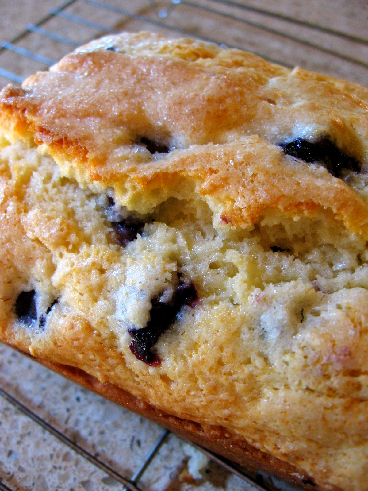 cookin' up north Minnesota Bluberry Bread