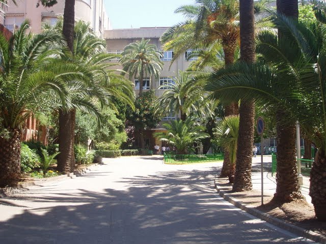Parque Colegio Santa Ana de Valencia
