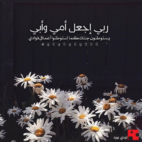 عبارات عن الام والاب متوفين Aiqtabas Blog