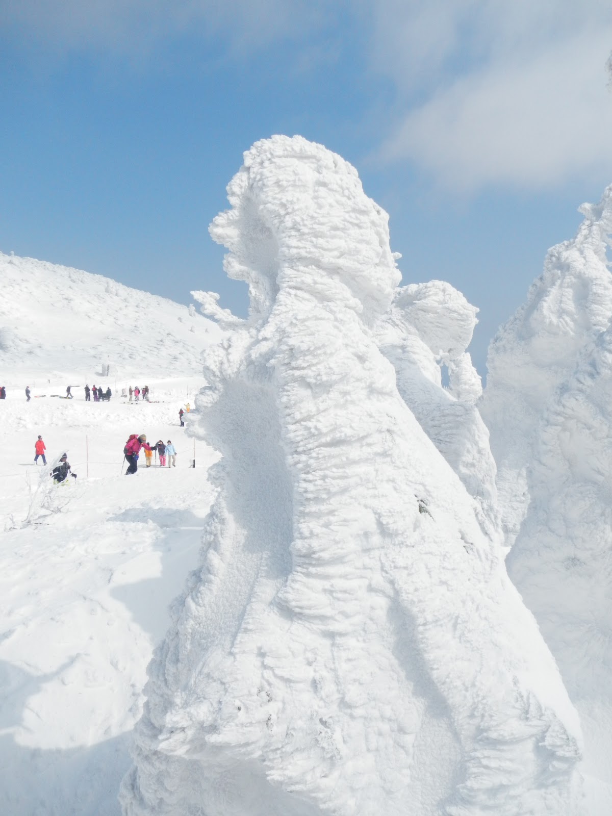 Adventures in Yokosuka Zao Onsen Ice Monsters
