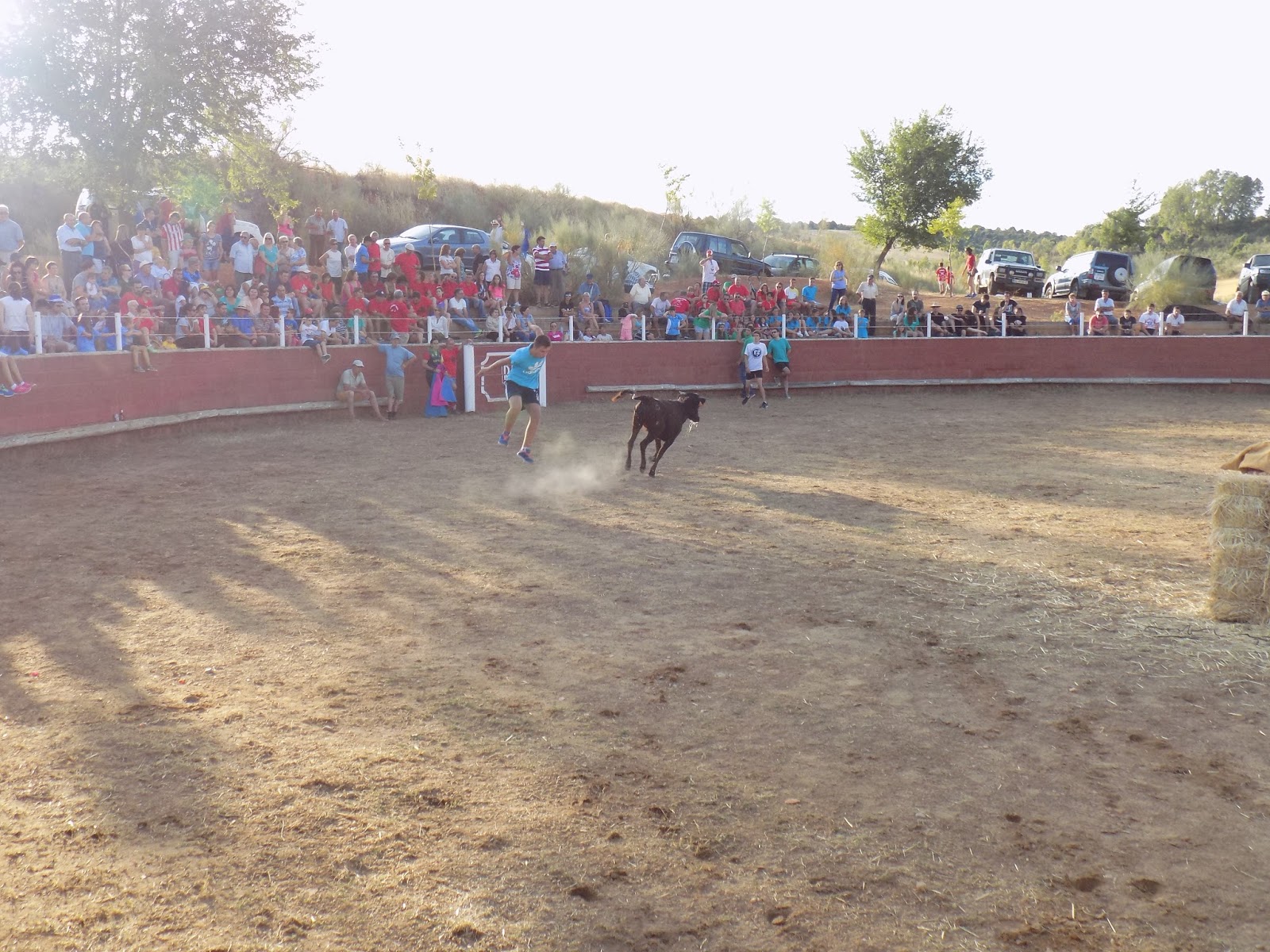 Alcarria Taurina Fiestas Robledillo de Mohernando 2015