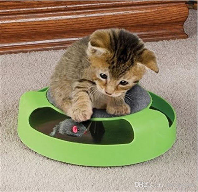 A Guide To Finding The Best Cat Toys