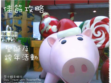 聖誕節及新曆新年是香港一個最重要的節日，最能感受聖誕佳節的活動，就是去欣賞聖誕燈飾及聖誕裝飾。聖誕燈飾主要在尖沙咀或中環的高樓大廈在外牆，在晚上就會亮燈，有更濃厚的聖誕氣氛。聖誕燈傭一般都是直至新曆或農曆新年後才拆除。聖誕裝飾主要位於香港各區的各大商場。  🎄 2019年情報請...
