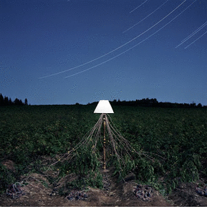 2016 Classifica Dei Migliori Album Di Musica Elettronica Secondo