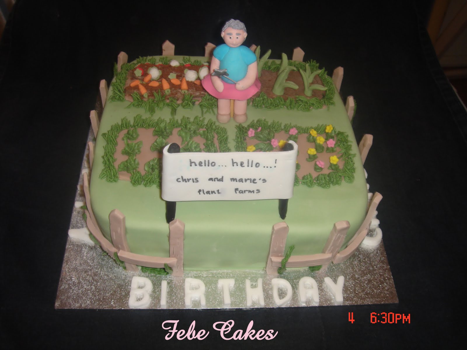 Febe Cakes Chris and Marie