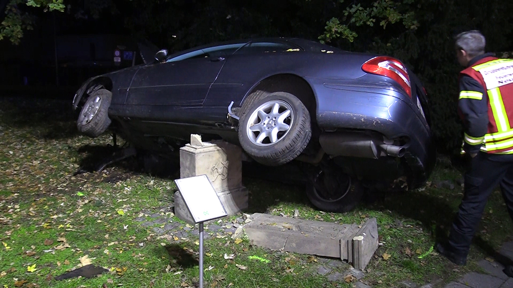 Single Party Worms Cehic Com Ar