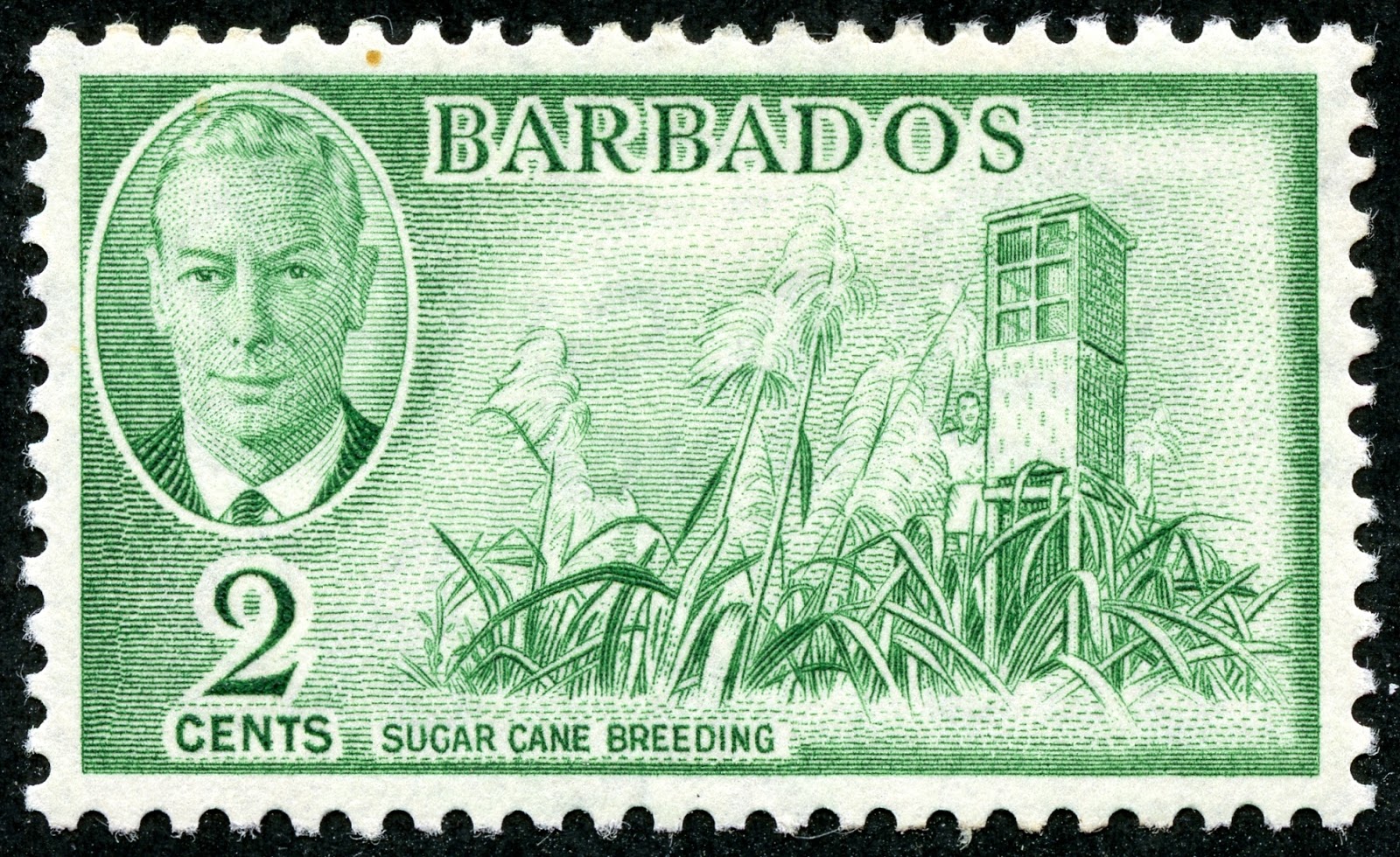 Дам гватемалу и два барбадоса. Барбадос марка. Барбадос марка Почтовая. Stamps Барбадос 1938. Марка страны Барбадос.