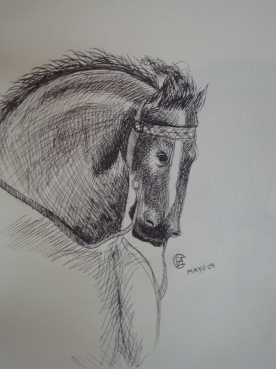 Expresiones Veterinarias: Frases célebres y pensamientos sobre el caballo