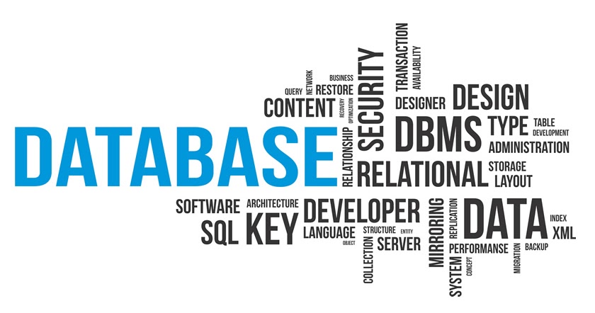 Top 10 Database Programming Languages