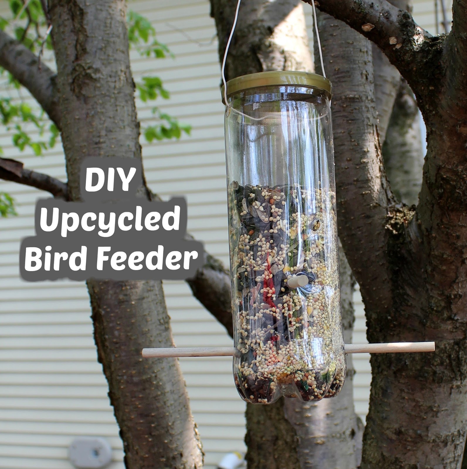 DIY Upcycled Bird Feeder The (mis)Adventures of a Homesteadin' Mama