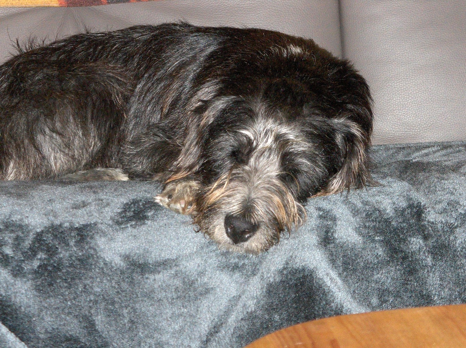 TiS Tagebuch August 2016