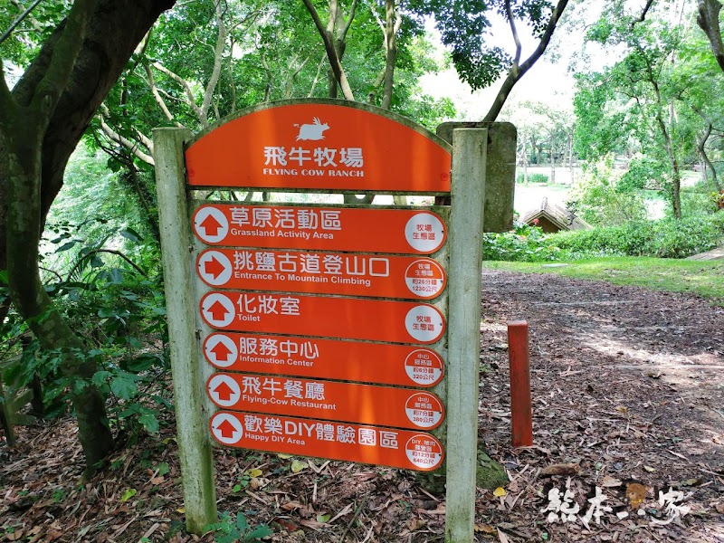 一秒到歐洲|苗栗飛牛牧場|最美牧場和大草原~野餐嬉戲觀乳牛、人工濕地護自然