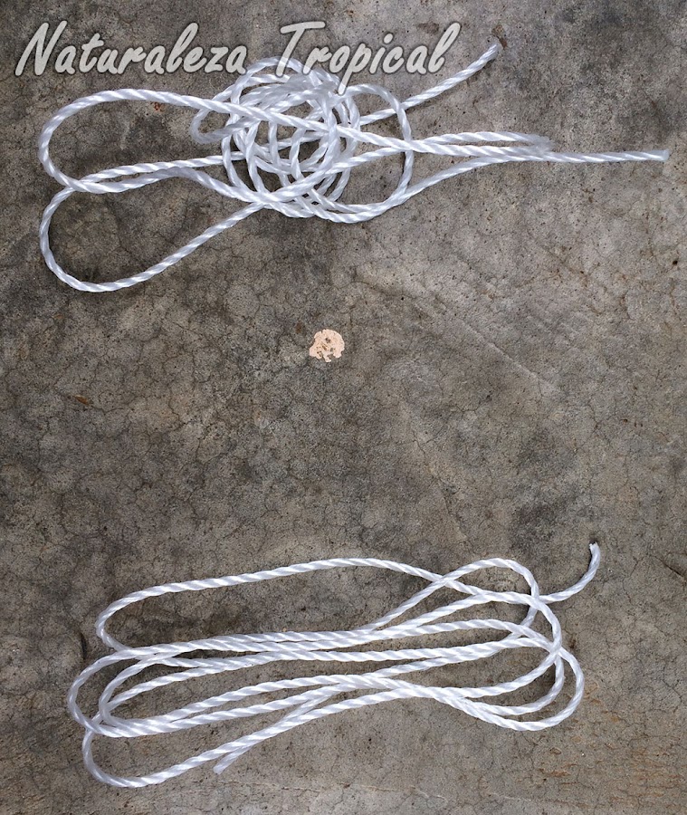 Cortar dos cordeles de plástico de igual longitud para fijar los bordes de la maceta. En nuestro caso utilizamos dos cordeles de 1 metro de largo. El tamaño depende de las dimensiones de la maceta.