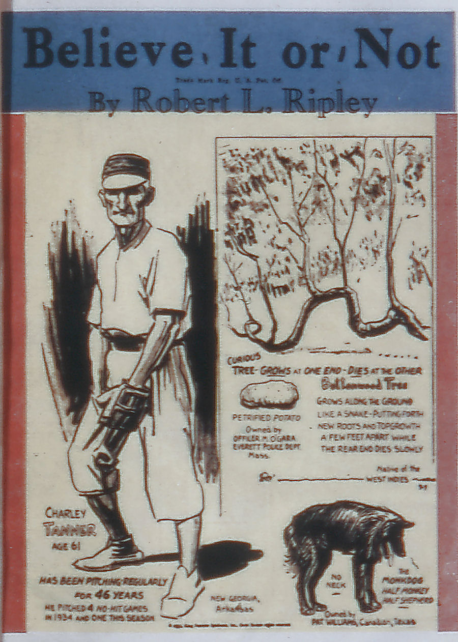 Read online All-American Comics (1939) comic -  Issue #21 - 17