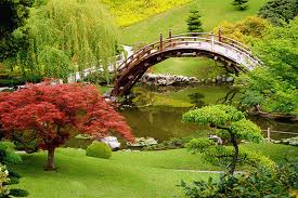 spring-koi-pond-startup-2