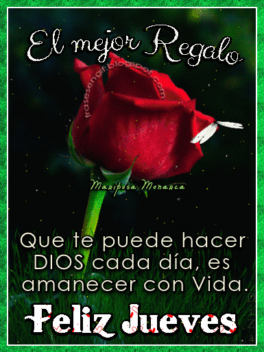 Resultado de imagen de feliz jueves frases