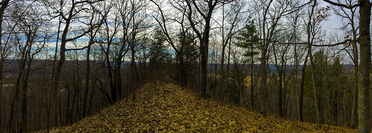 Hemlock Trail - Mt. Pisgah Hemlock Hardwoods State Natural Area