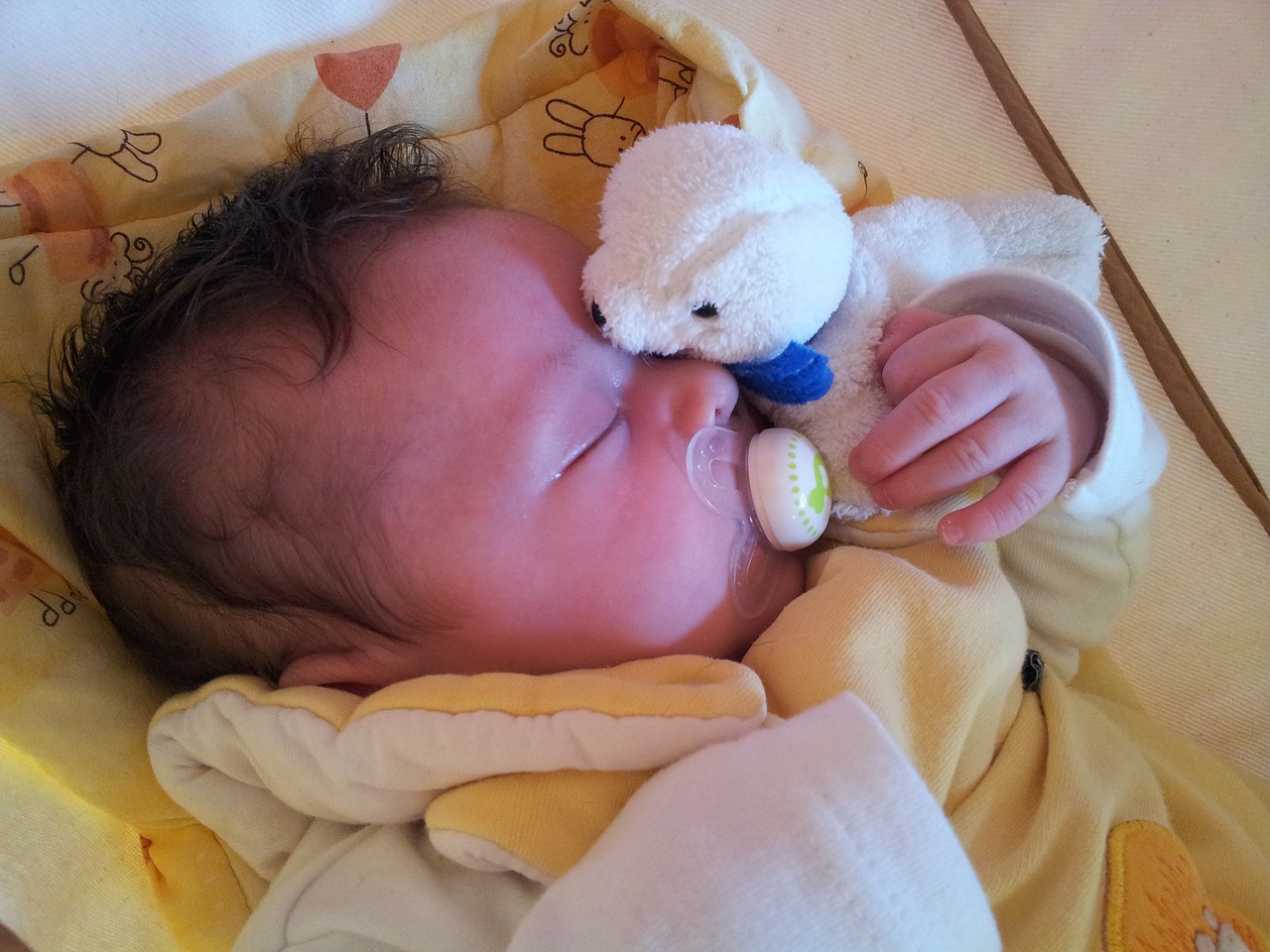 Am Rice for Baby The Life of Elisa